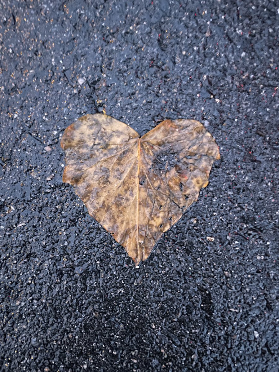 Finding patterns in nature is a great way to incorporate the outdoors in your practice—how can you use nature to teach shapes, patterns, and symmetry?