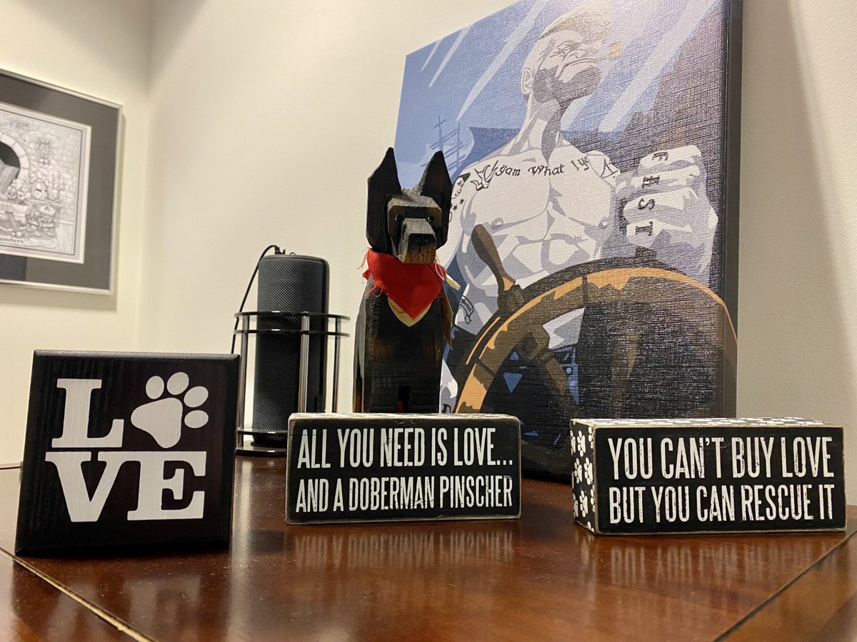 marcthevet's tweet photo. Fascinating chat with State Senator #BenKramer (not on socials) for documentary. Discussed animal welfare campaigning &amp; lobbying in U.S., his successful banning of puppies in #Maryland pet stores, plus supporting rescue shelters &amp; dogs, esp. Dobermans! #DogSpiracy #AnimalWelfare https://t.co/ZWVFnWF4wM