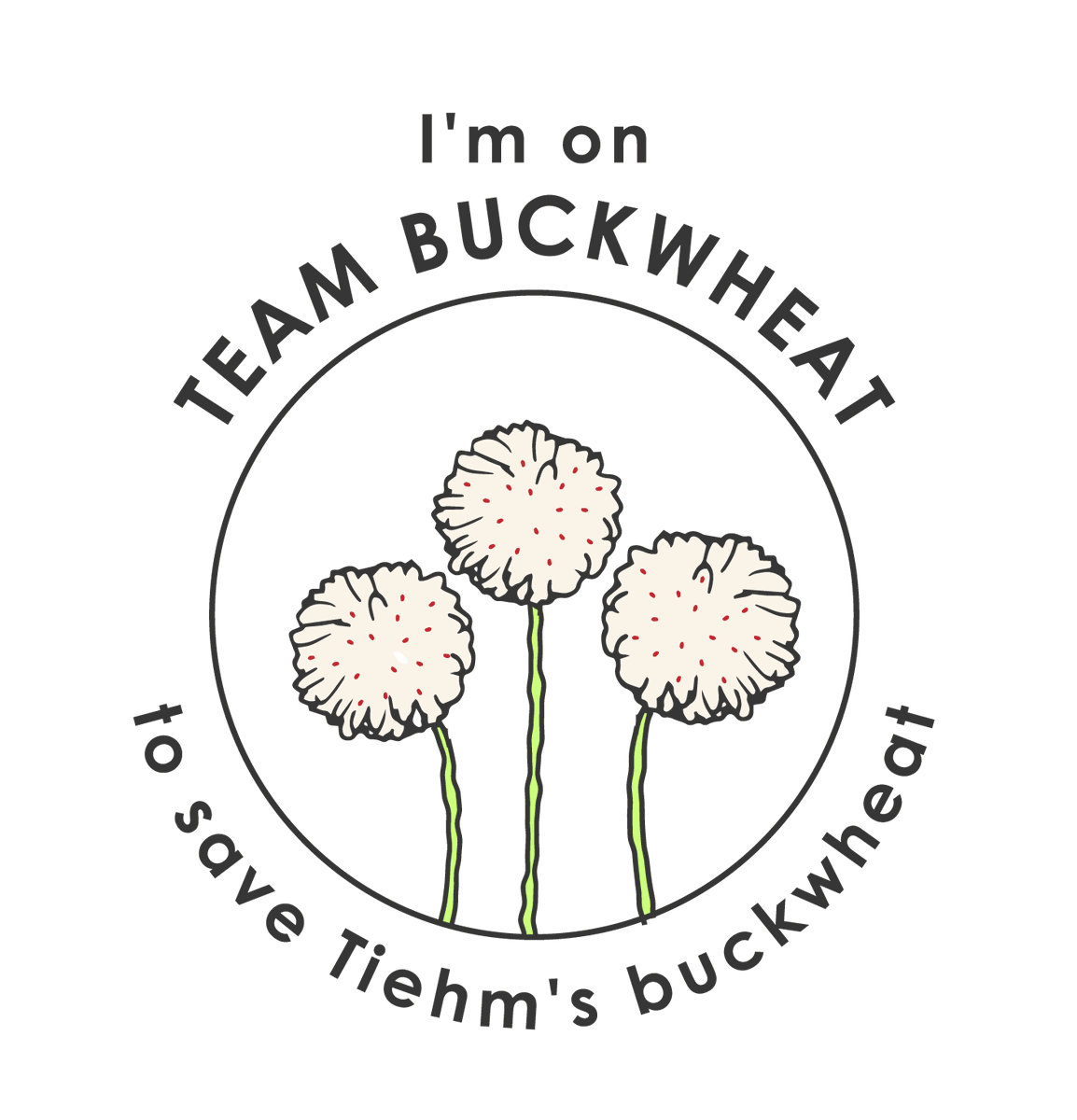 naomibot's tweet photo. 📢Calling all Botanists! 

BLM is in the early phases of permitting for the Rhyolite Ridge Lithium Mine which would drive Tiehm's buckwheat to extinction.

Join me to take a stand against extinction &amp; save Tiehm's buckwheat.  Please sign on! #Teambuckwheat https://t.co/KXaAIN8Yek https://t.co/fsil7e9KY1
