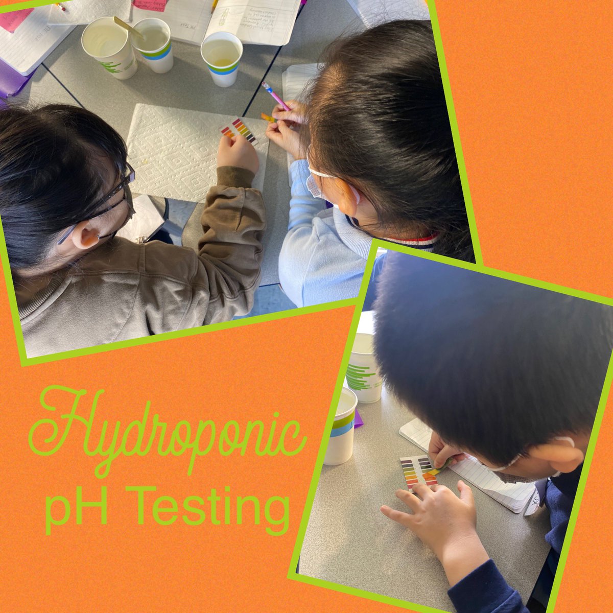 pH Testing in Hydroponics <a href="/Realdavidcbanks/">David C. Banks</a> <a href="/pretto_david/">Dr. David Pretto</a> <a href="/uft/">UFT</a> <a href="/nycschools/">NYC Public Schools</a> <a href="/followcsa/">CSA</a> <a href="/csabrooklyn/">CSA Brooklyn</a> <a href="/nycespa/">NYCESPA</a> <a href="/20_doe/">Community School District 20</a> <a href="/uft_elementary/">UFT Elem Division</a> <a href="/nycmayor/">Mayor Zohran Kwame Mamdani</a> <a href="/lucia_medina3/">Dr. Lucia Perez-Medina</a> <a href="/danweisbergnyc/">Dan Weisberg</a> <a href="/CahnFellows/">Cahn Fellows Program</a> @D20StudentSvcs #StopHateSpreadKindnessItIsThePS160Way @Stu_Chasabenis