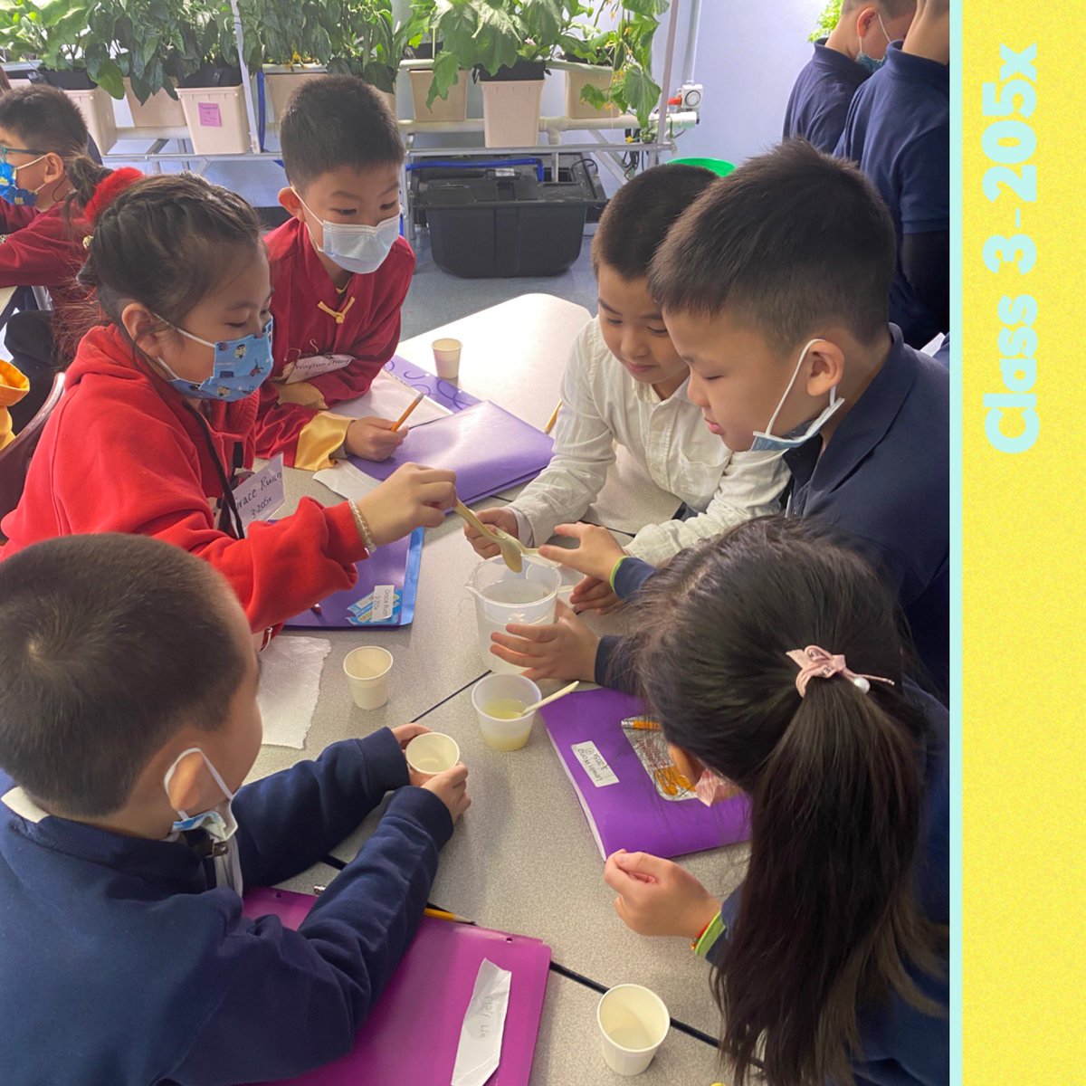 What a sweet lesson! <a href="/Realdavidcbanks/">David C. Banks</a> <a href="/pretto_david/">Dr. David Pretto</a> <a href="/uft/">UFT</a> <a href="/nycschools/">NYC Public Schools</a> <a href="/followcsa/">CSA</a> <a href="/csabrooklyn/">CSA Brooklyn</a> <a href="/nycespa/">NYCESPA</a> <a href="/20_doe/">Community School District 20</a> <a href="/uft_elementary/">UFT Elem Division</a> <a href="/nycmayor/">Mayor Zohran Kwame Mamdani</a> <a href="/lucia_medina3/">Dr. Lucia Perez-Medina</a> <a href="/danweisbergnyc/">Dan Weisberg</a> <a href="/CahnFellows/">Cahn Fellows Program</a> @D20StudentSvcs #StopHateSpreadKindnessItIsThePS160Way @Stu_Chasabenis