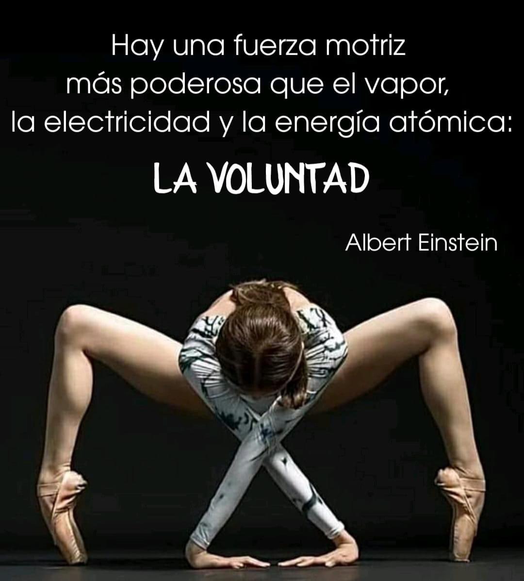Dr_Blazquez's tweet photo. Frase Einstein vía @maryale1218 https://t.co/ALJ8Wic2Sv