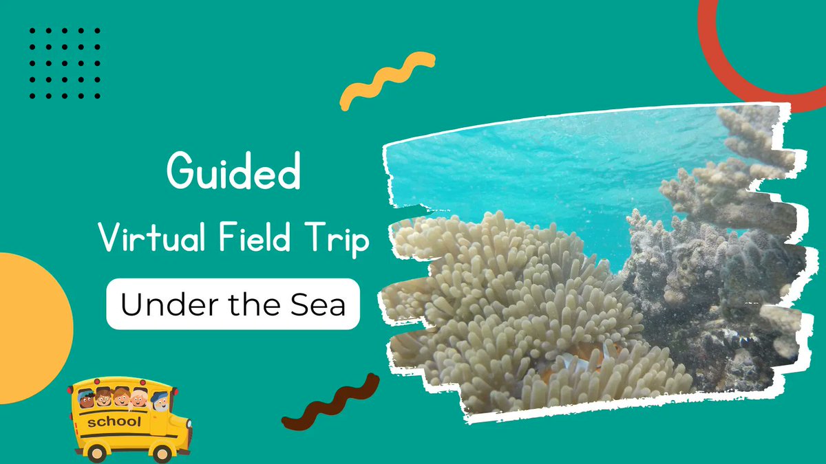 learnATW's tweet image. Feb. 24 | Join us in Komodo National Park to explore the Flores Sea. We're getting wet on this #virtualfieldtrip so don't forget your bathing suits! #gaed #2ndchat #STEM | Register buff.ly/3W5QYS3