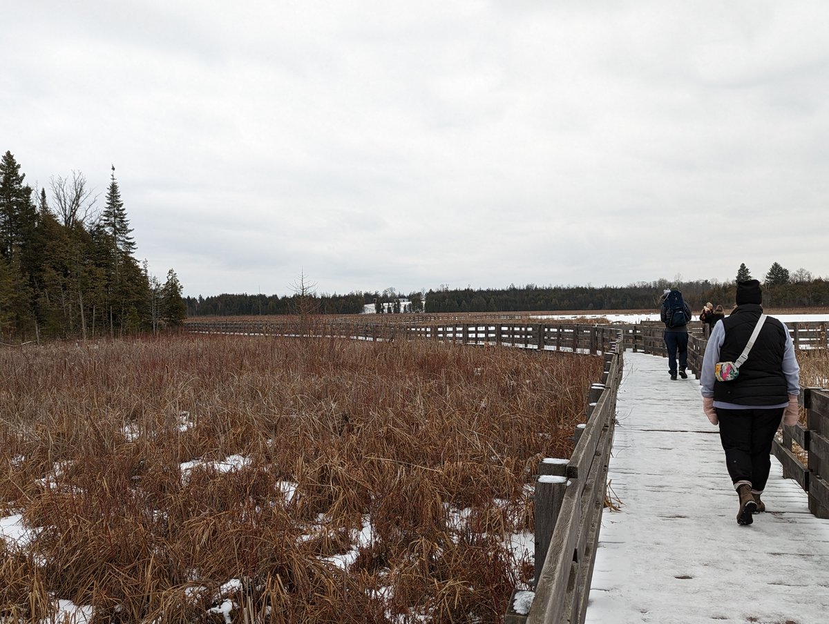 WINTER ACTIVITY OF THE WEEK ❄️

Grab your hiking gear and hit the trails at H.R. Frink Conservation Area. With 12 km of trails to explore, you can choose a different adventure each time you go.

➡️ bayofquinte.ca/tourism/winter…

#BayofQuinte #SouthEasternOntario #DiscoverON