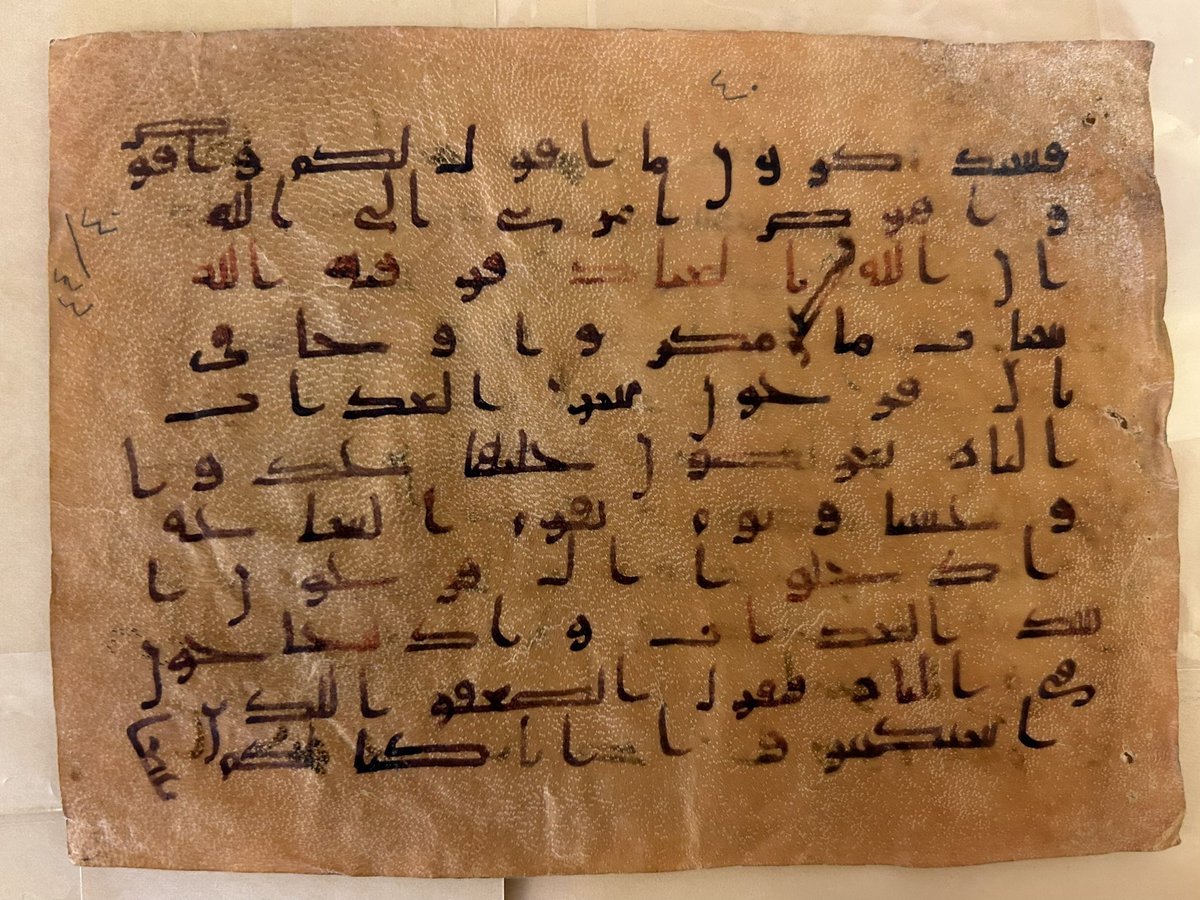 Dr. Éléonore Cellard tweet media