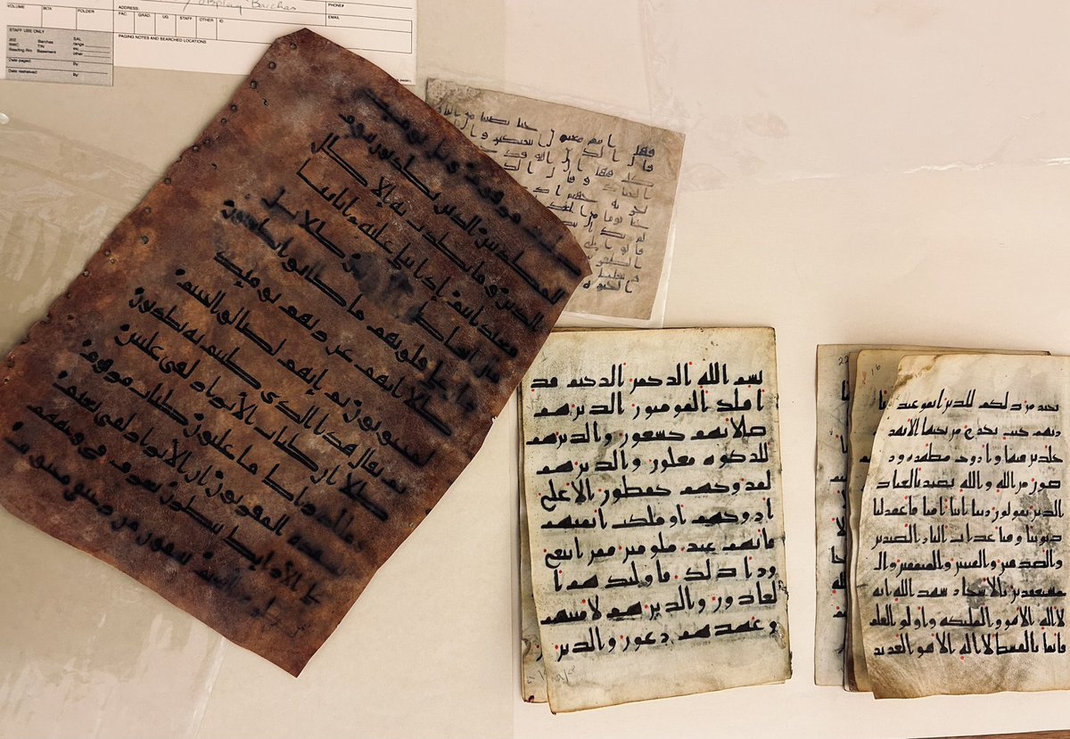 Dr. Éléonore Cellard tweet media