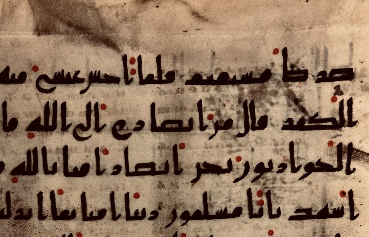 Dr. Éléonore Cellard tweet media