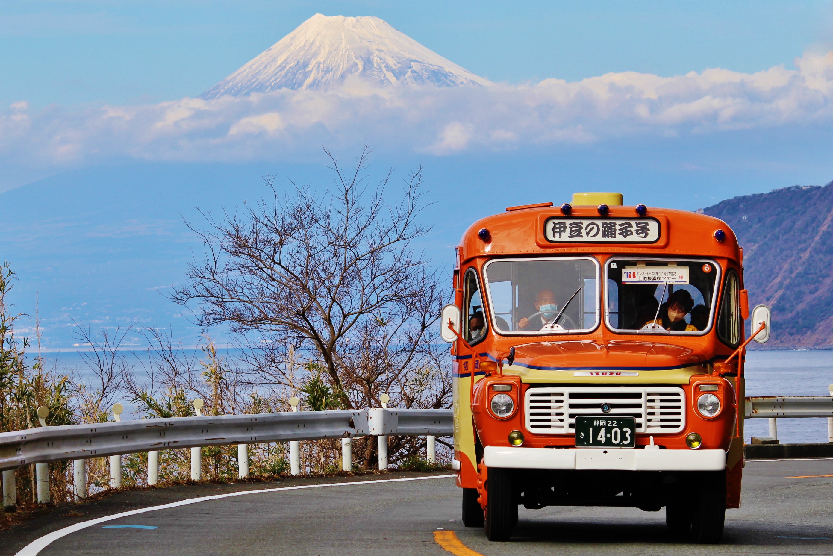 踊り子号 | Train & Routes | JR-EAST