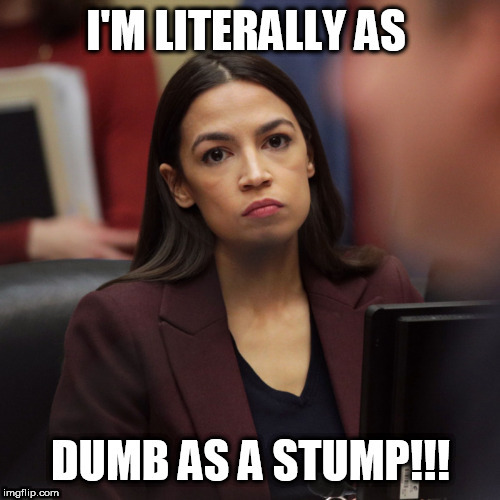 BluCollrRebel's tweet photo. @IlhanMN @AOC deport both of these immigrants! https://t.co/0ktqA03NpC