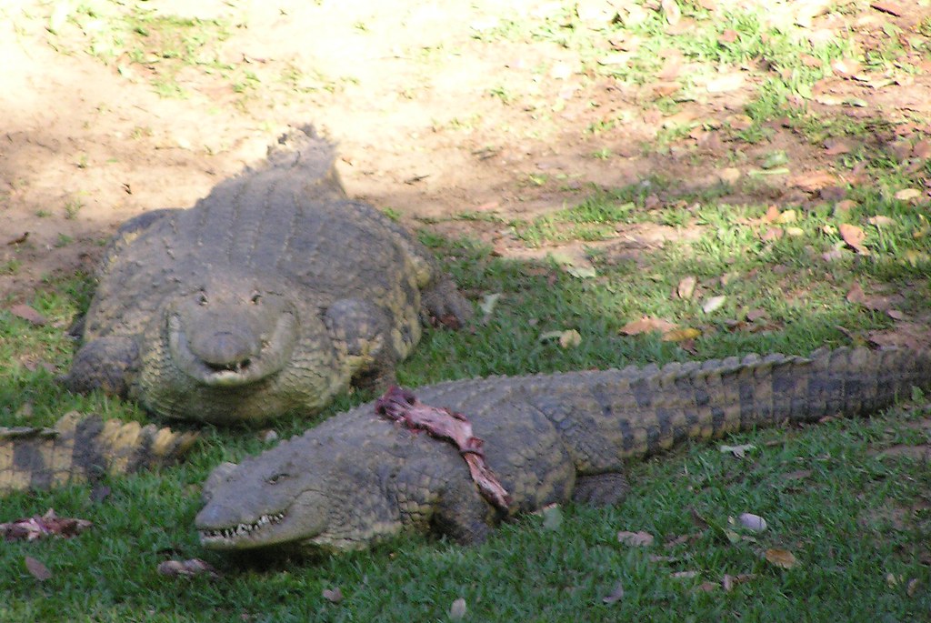 GatorsDaily's tweet photo. flat fuck king and queen https://t.co/TyleuojoQr