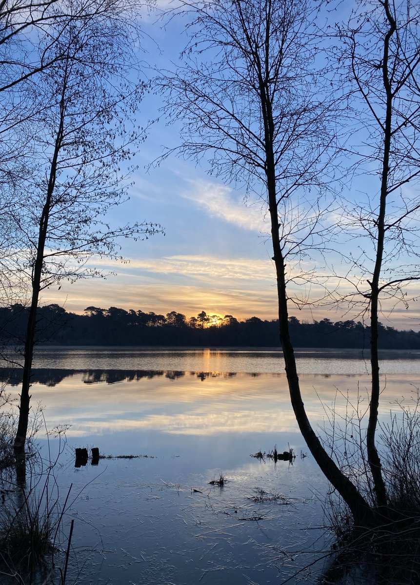 Frans Kapteijns tweet media