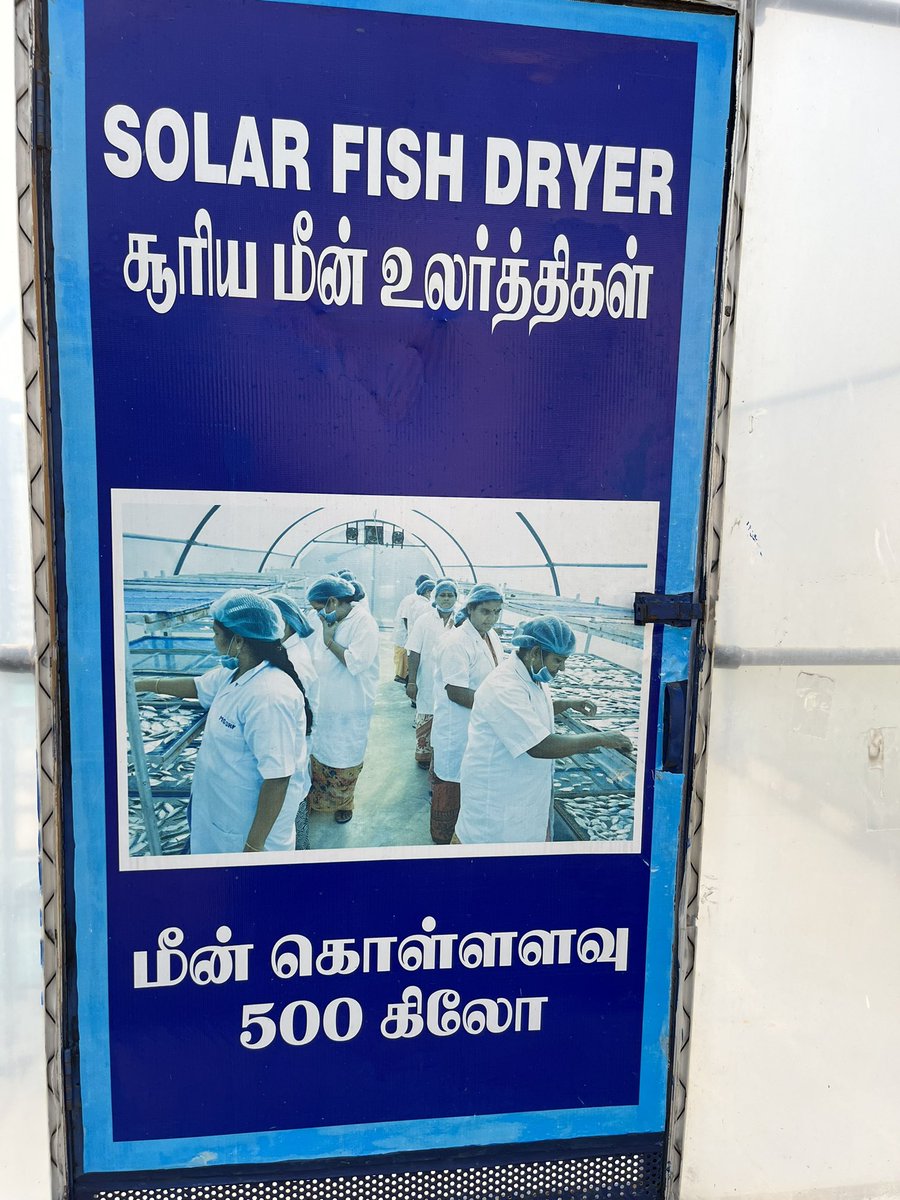 doctorsoumya's tweet photo. At @mssrf #FishForAll centre in #Poompuhar where solar drying technology is now used by women #SHGs to produce nutritious, safe, dry fish, saving a lot of WOMEN’S drudgery. Need to scale this with smaller models of solar dryer @isolaralliance @Min_FAHD @tnfdcofficial @PRupala https://t.co/w9rDnROyqG