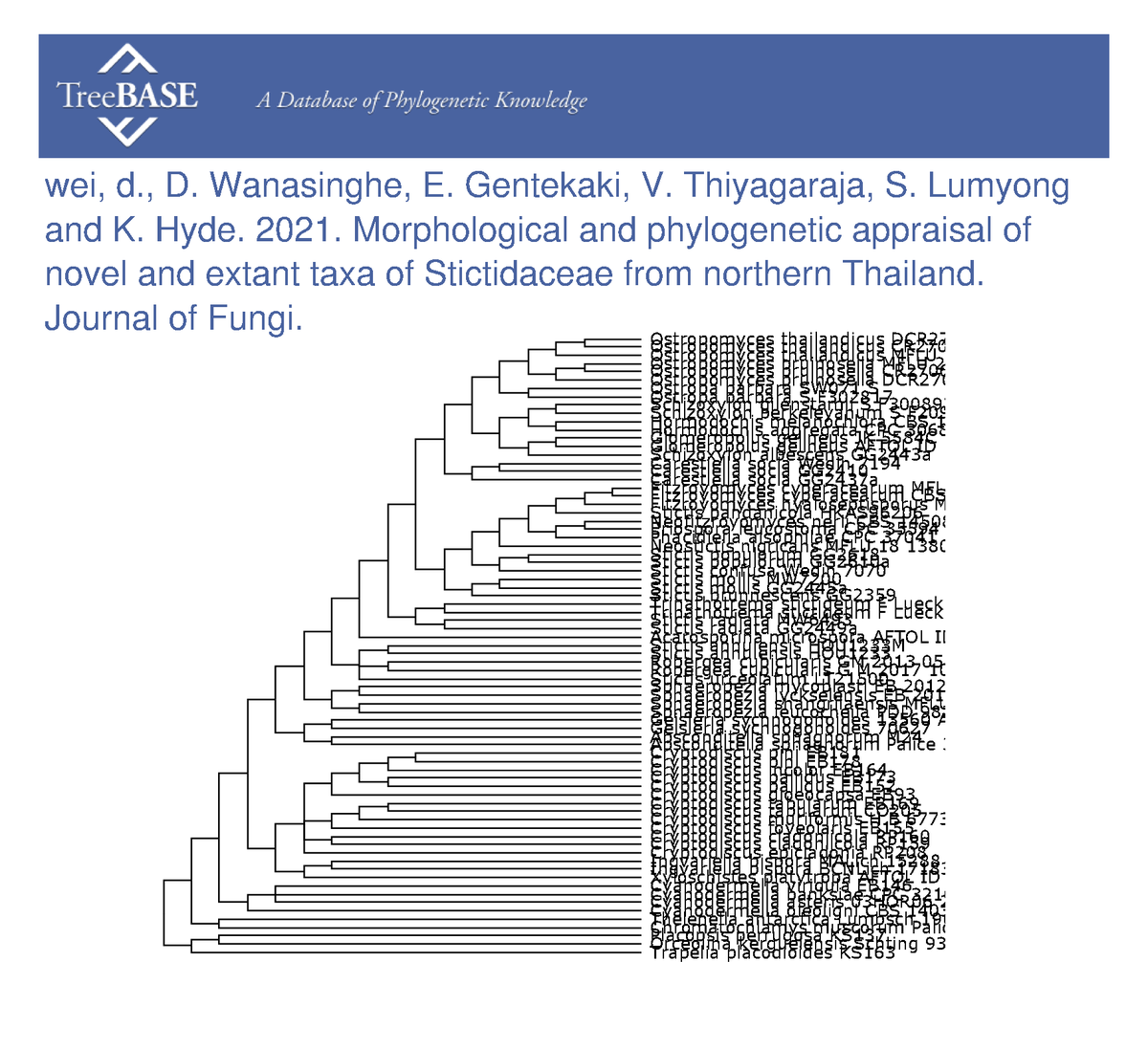 treebase's tweet photo. deping wei and colleagues shared their data with #TreeBASE on Jan 27, 2023. @MDPIOpenAccess

https://t.co/2c2wtfI12H https://t.co/scRsVG7egF