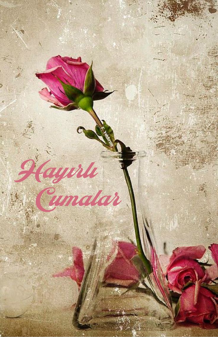 Ey benim güzel Allah'ım:

Sonunu bilmediğimiz yollarda, Omuzlarımıza ağır gelen imtihanlarda,
Ve şu kocaman dünyada yalnızca sana güveniyoruz. 

Vardır bir sebebi diye sabrettiğimiz ne varsa hayırlara çıkar.🤲

#Hayırlı_Sabahlar
#Hayırlı_Cumalar