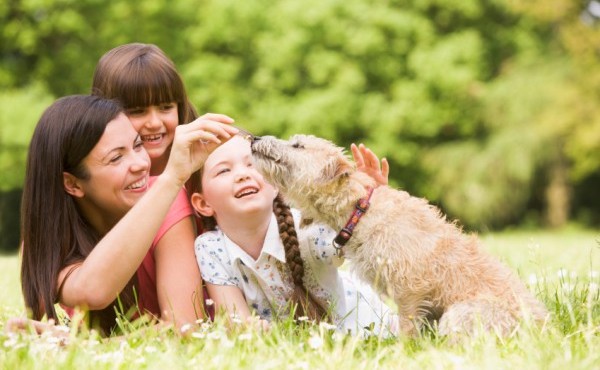 HuffHuffHuff2's tweet photo. Pets are more than just companions, they are a part of the family. Experience the unconditional love and loyalty of a furry friend, by your side

#pets #petlovers #dogs #dogsofinstagram #bestfriend #family #unconditionallove #loyalty #furryfriend #petsarefamily https://t.co/KzeoEv7Hbx