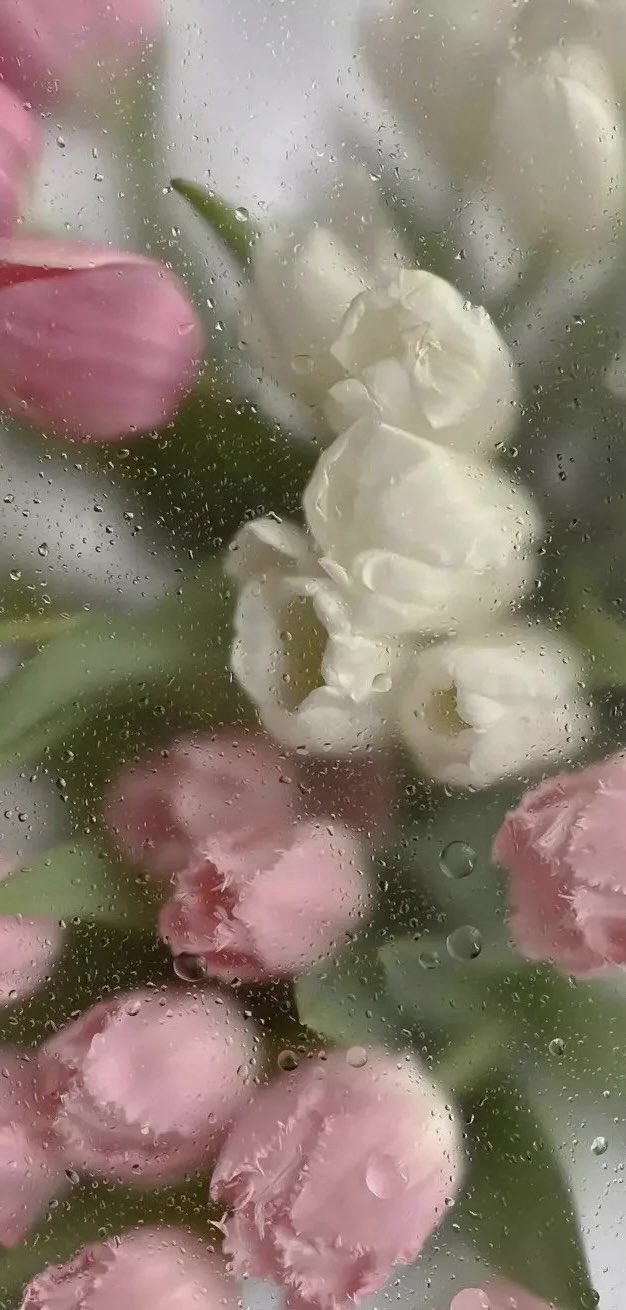スマホ画面に花を閉じ込めたみたい 真似したくなるオシャレな壁紙 話題の画像プラス