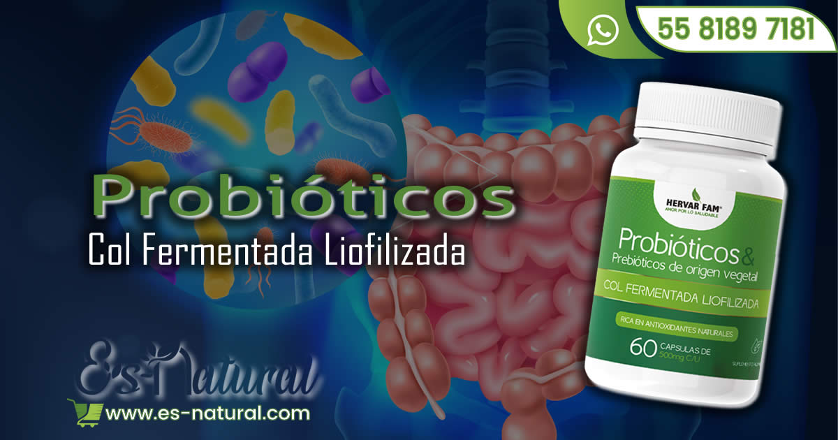 EsNaturalOnLine's tweet photo. ✨ #Probióticos y #Prebióticos de Col Fermentada Liofilizada ✨
✅ Mejora la digestión y absorción de nutrientes.
✅ Mejora la resistencia a organismos patógenos en la mucosa intestinal
✅ Mejora la inmunidad innata del intestino
https://t.co/g57plO02OR
🍃 #EsNatural https://t.co/0NVxR71etN