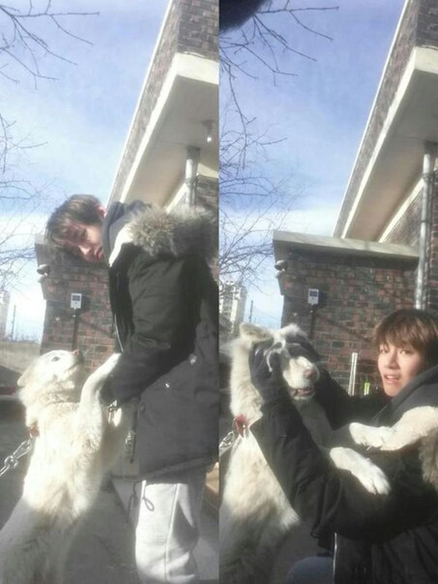 BTSLCVED's tweet photo. Before Yeontan, Taehyung had Soonshim 🥹❤️ https://t.co/lAMcTX6Ssa