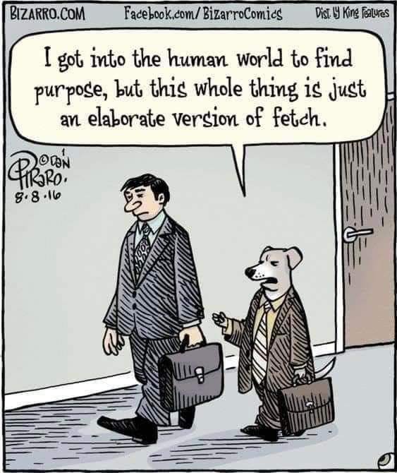 <a href="/AjeyGore/">Ajey Gore</a>