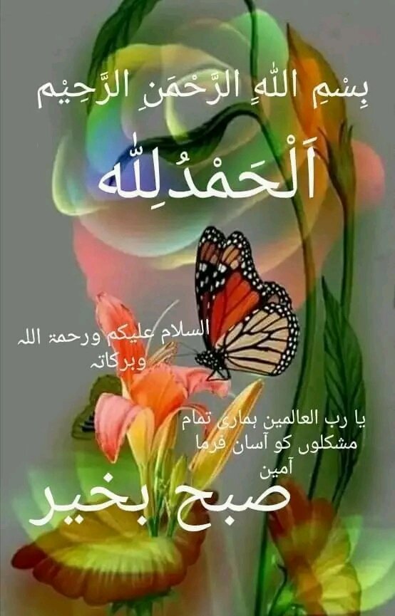 abdual_kader's tweet photo. @itx_zoyya https://t.co/piZsXspYJC