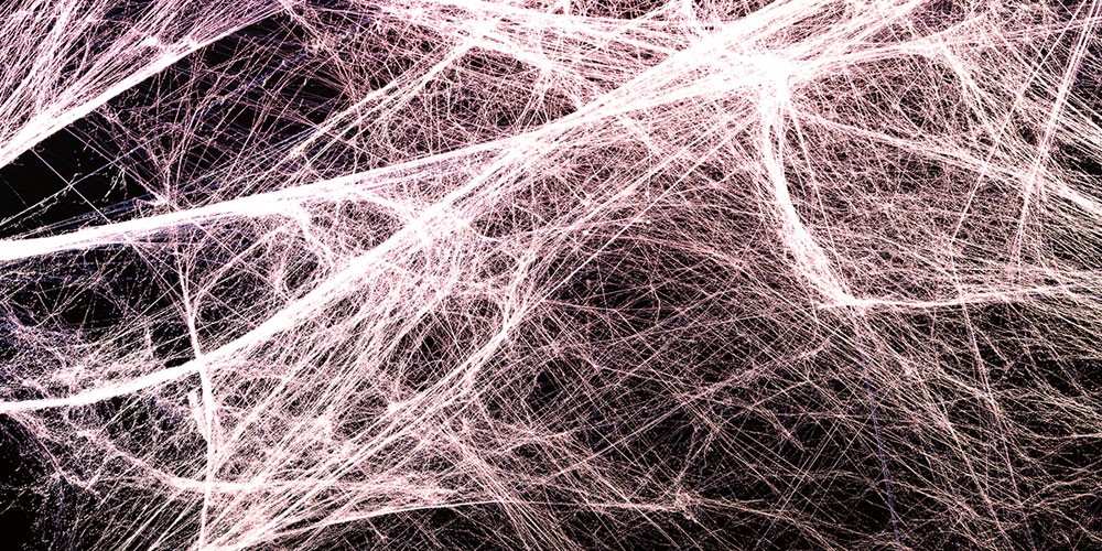 rishinith's tweet photo. #Wellness Alert:  Did you ever think about what holds trillions of cells together in our body like a ginormous family? How all bones, muscles, and organs are connected together? Meet #Fascia, the body's glue that surrounds muscles, bones, and organs. 
#Thread https://t.co/YDiF0vSz9E