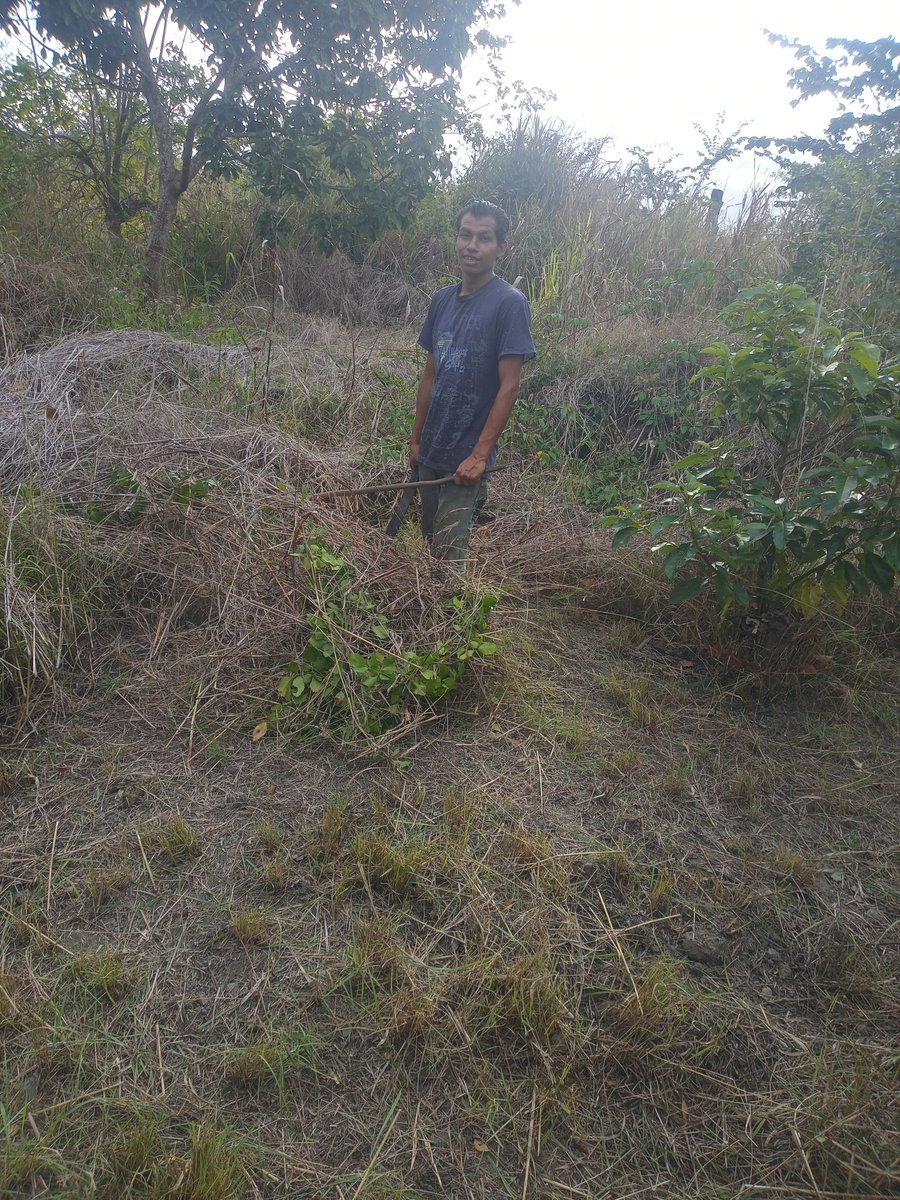 Avva2023's tweet photo. 26/1/23 trabajo en EQUIPO https://t.co/lcWGXijLHr