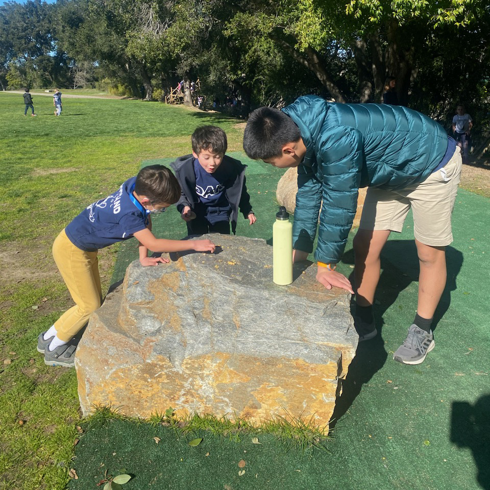 WoodlandPK8's tweet photo. It's Buddy Lunch Day! Our cross-grade buddies spent lunch and recess together today, sharing a lot of stories. In a new tradition, third grade students enjoyed a picnic with our early childhood students! #gopine #gomaple #gocypress #gooak #housesystem #buddies #community https://t.co/C8dJssFAlH