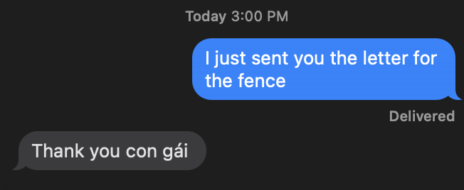 Stella Tran tweet media