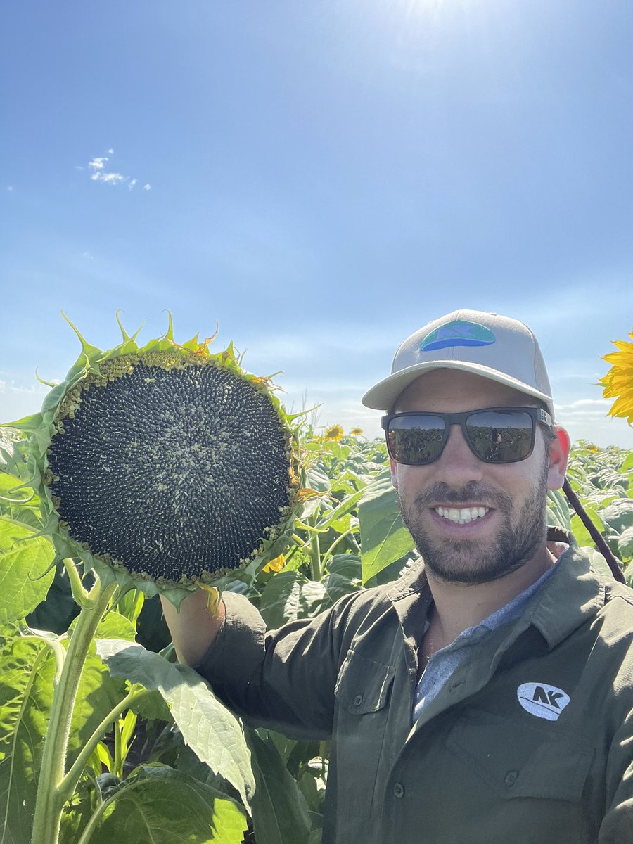 LucasOteiza2's tweet photo. A la mañana recorriendo girasoles de @NKSemillas #SYN3970CL 📍Gral Pico, La Pampa.
A la tarde de recorrida con los viejos, quienes me inculcaron la profesión.
Un ensayo de densidad variable de #SYN979VIP3 y #NK842VIP3
📍Pehuajó, Bs As https://t.co/mMv84Twjfr