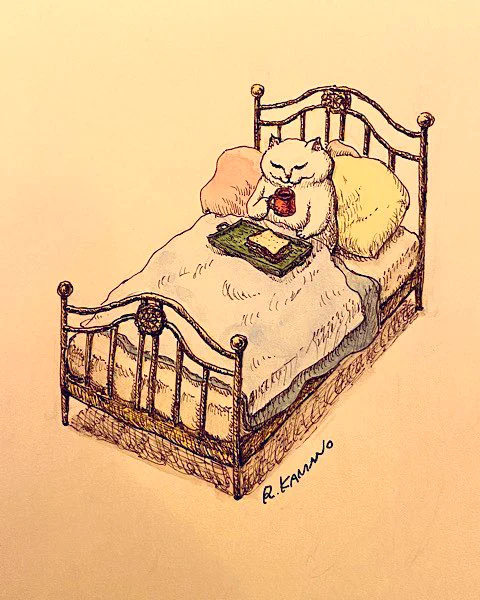 明日は朝寝坊します。#猫 