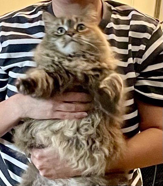 Our face when we hear you haven’t purchased your tickets for our February 1 show at Space Ballroom with Jon Spencer &amp; The HITMakers
eventbrite.com/e/jon-spencer-…