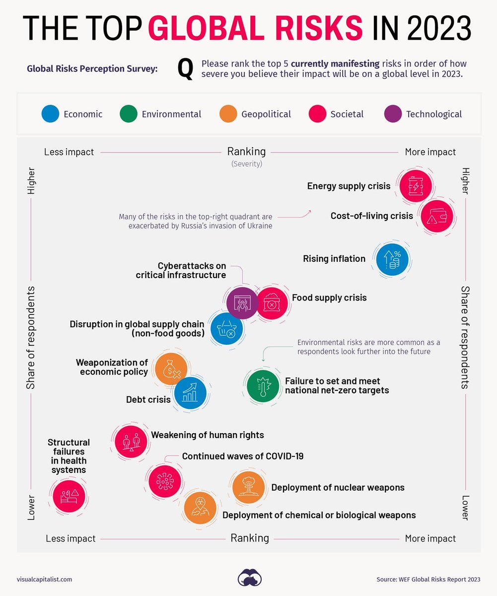 Visual Capitalist tweet media
