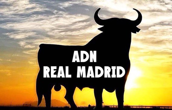 pacuchete's tweet photo. @realmadrid https://t.co/ooeNQggUfW
