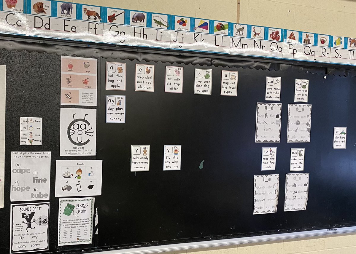 bradleykx's tweet photo. Look at the growing Spelling Choice Wall in @MrsEEdmonds  gr1-2 classroom @PresRoad. They can tell you about closed syllables, FLSZ guide, Cat Guide, nasal chunks, -ng chunks, short vowels, silent e and digraphs. Next up is syllable division and r controlled vowels. #SLP https://t.co/pKzN6s6TR1