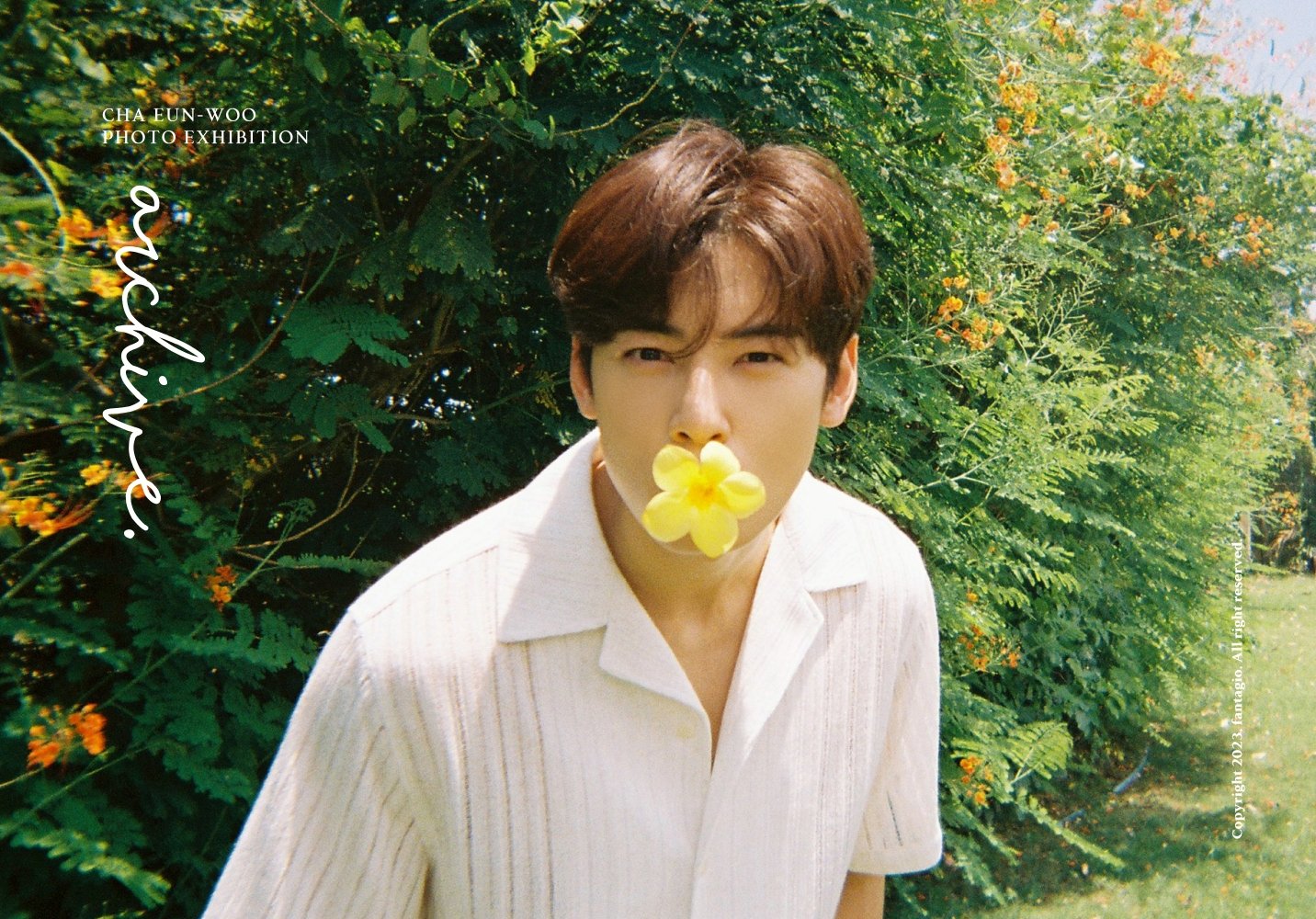 KpopHerald على X: 