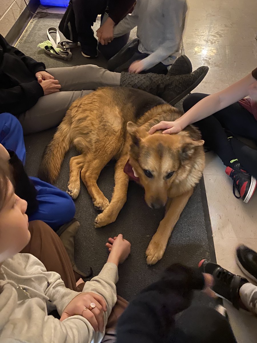Today students practiced mental health and wellness strategies including optional yoga and meditation along with more time with our furry friend Saylah, the trained therapy dog.  #iAMwell <a href="/yourschools/">Avon Maitland District School Board (AMDSB)</a>