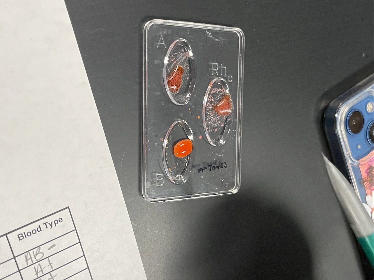 Tara Wood tweet media