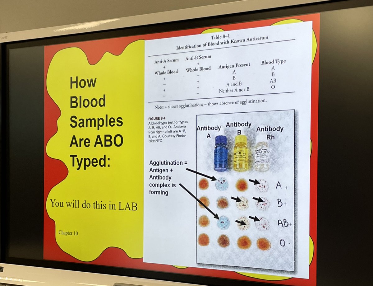 Tara Wood tweet media