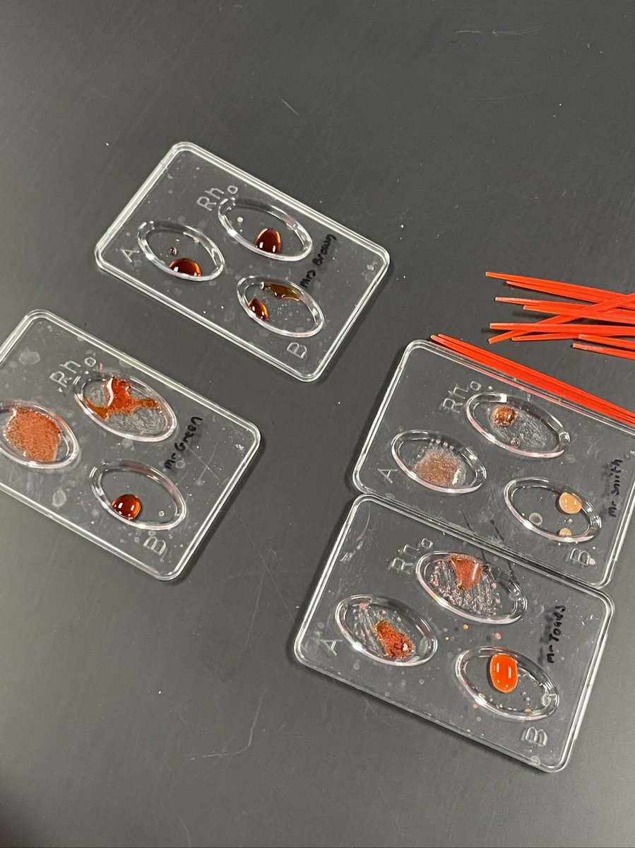 Tara Wood tweet media