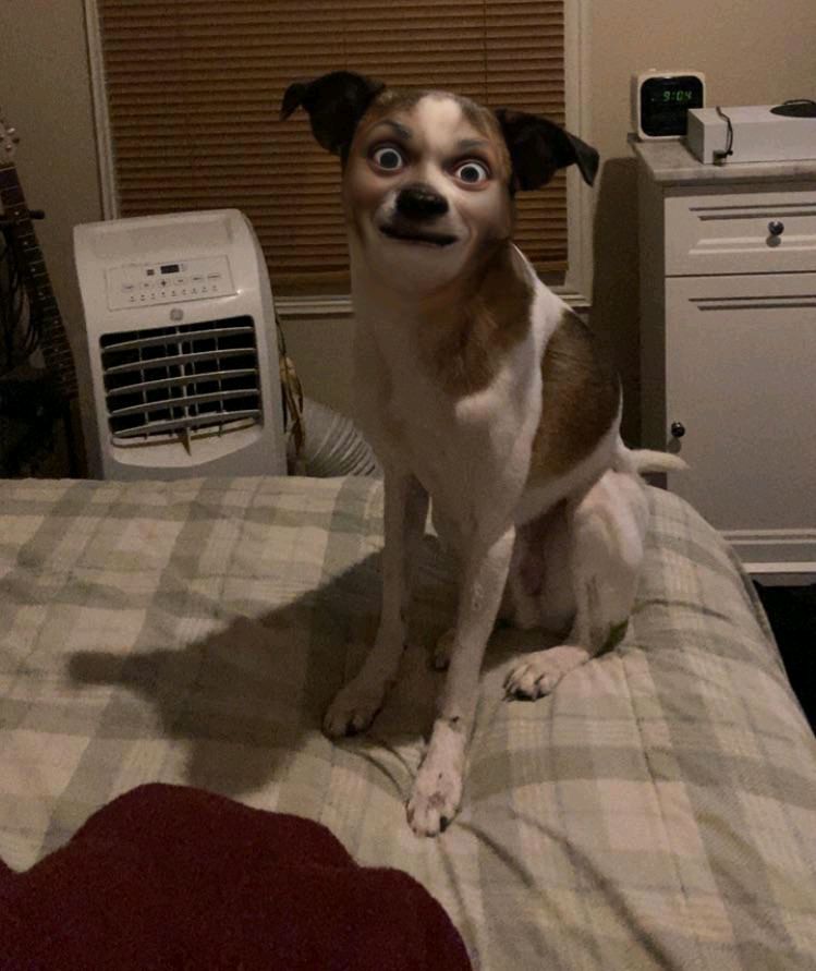 CursedCreepy's tweet photo. #cursed #creepy #unnervingimages #dreadful #cursedimages #scary #creepyart #cursedimage #weirdcore https://t.co/pC8ckRmuml