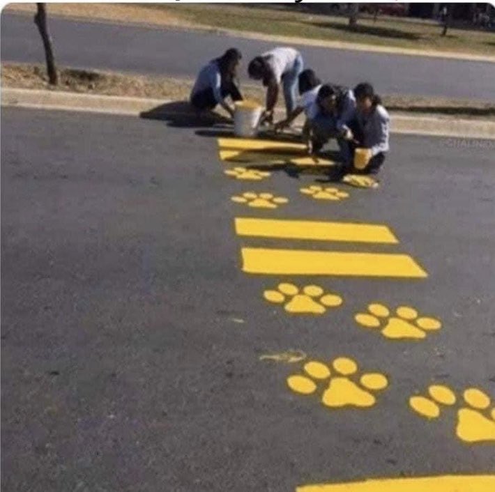 Para que pases con tu perro culazo Maylove. 😍❤️