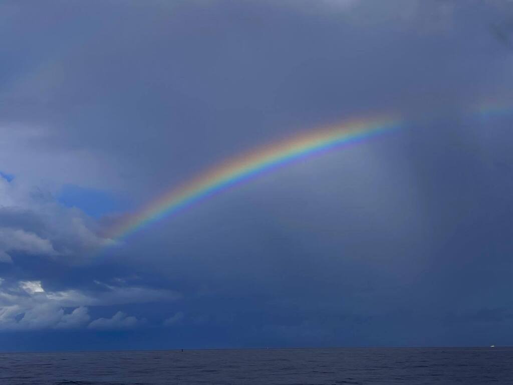 Susan Saint James tweet media