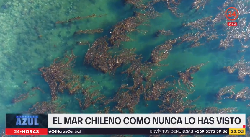 24HorasTVN's tweet photo. #ENVIVO | El mar chileno como nunca lo has visto en #FronteraAzul 🌊 #24HorasCentral 

Señal en vivo ➡️ https://t.co/dScQTp6tzj https://t.co/9mRvriZLoL