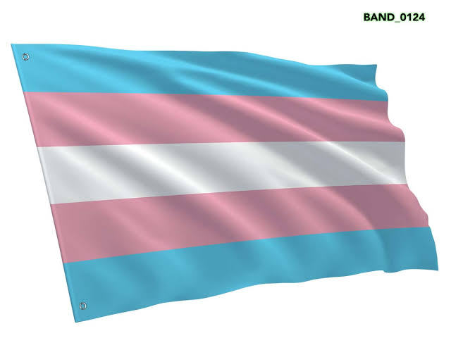 OrdemAnything's tweet photo. Joui declara apoio total e 100% a comunidade trans. https://t.co/serfxHpHdc