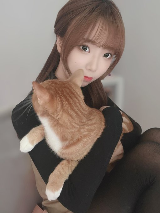 コスプレイヤーHattie（へティー）のTwitter画像5
