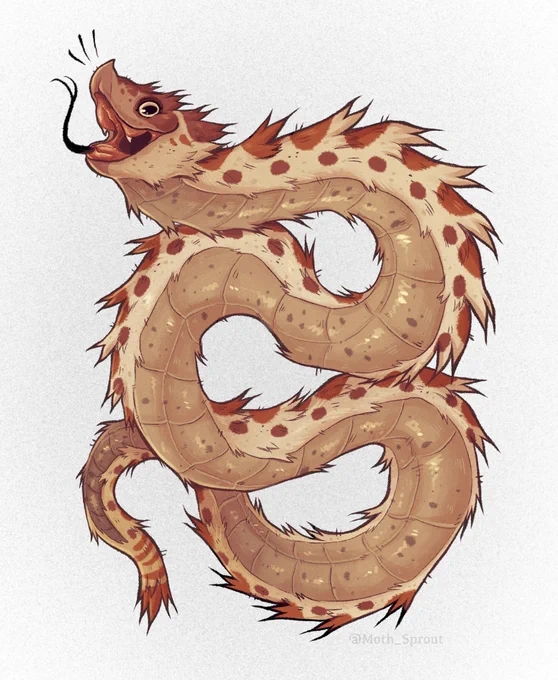A fluffy Hognose Snake! 