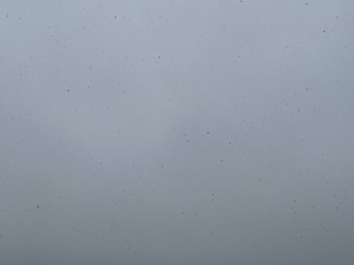 sungarden25's tweet photo. おはようございます⛄️

#イマソラ はこんな感じです（積もってはいません）
こんな天候の日でも、朝から当ジムは朝から会員の皆さまで活気あふれております💪🔥（ありがたや〜🙏）

今日も一日、寒さに負けず頑張りましょう‼️ https://t.co/lmZkXC0LtV