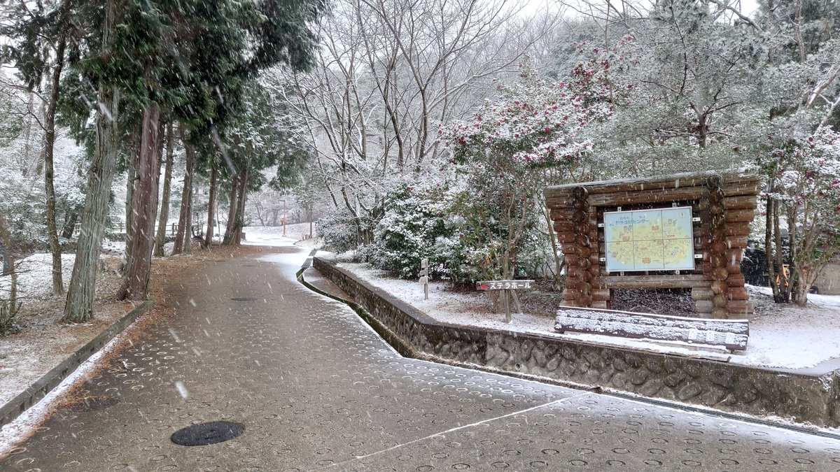 HAOcamp's tweet photo. 只今の野外活動センター。
雪が降り続いてますが、そこまで厚くは積もっていないです。
(４枚目 ８時４０分から駐車している車の天井）
#枚方市野外活動センター
#関西 #大阪 #枚方 #枚方市 #野外活動センター
#JAPAN #Osaka #Hirakata
#穂谷 #雪 https://t.co/ZeZs5CAu8U