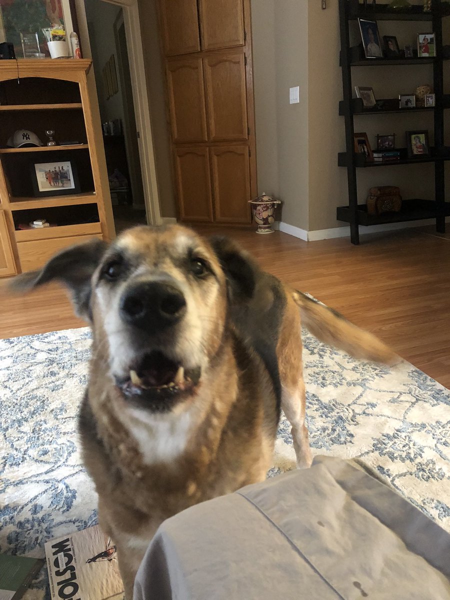 ButchandM's tweet photo. @Louise3Katlin Butchy has something to say! https://t.co/ITHnh18K1m