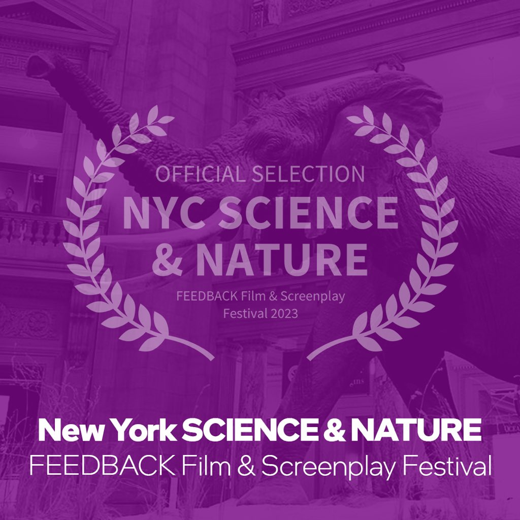CustodeFilm's tweet photo. Custode’s first official festival selection! 

Stay tuned!

#custodefilm #jimallison #nyc  #newyork #newyorkfeedbackfilmfestival #sciene #scienceandnature #space #animated #short #filmfestivals #nasagoddardspaceflightcenter https://t.co/B9hr6125Kr